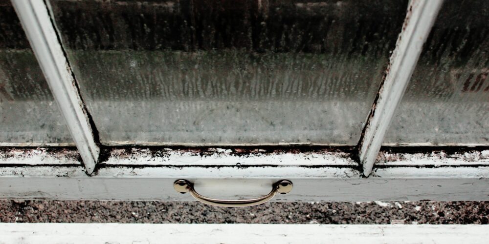 Mould Protection: Safeguard Your Home and Health
