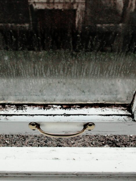 Mould Protection: Safeguard Your Home and Health Mould Protection: Safeguard Your Home and Health