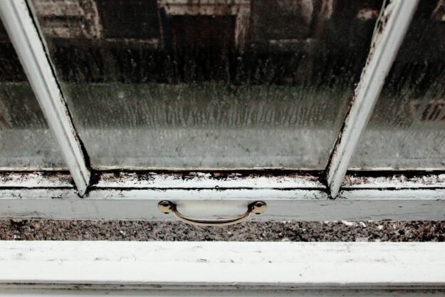 Mould Protection: Safeguard Your Home and Health