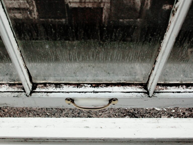 Mould Protection: Safeguard Your Home and Health