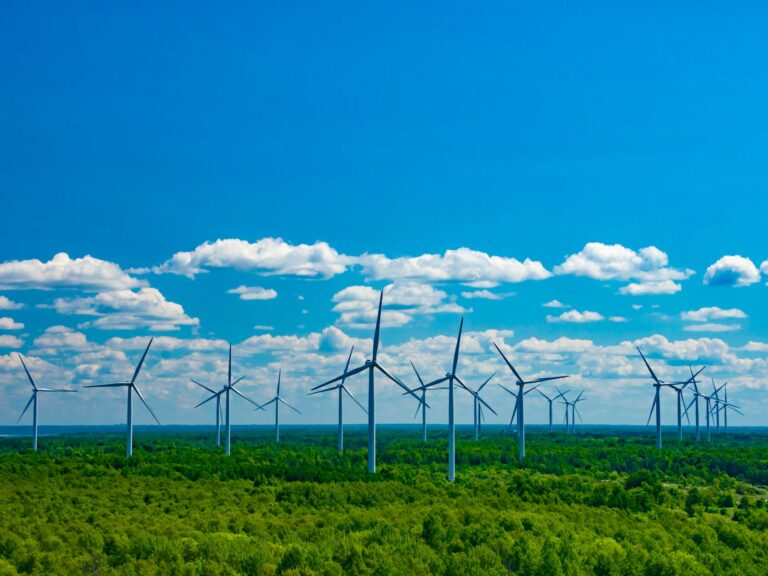 Boost Home Energy Efficiency