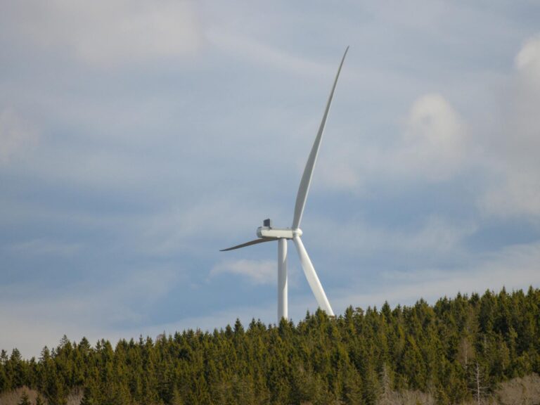 Boost Your Home’s Efficiency