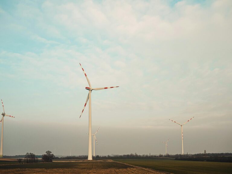 Boost Your Home’s Energy Efficiency